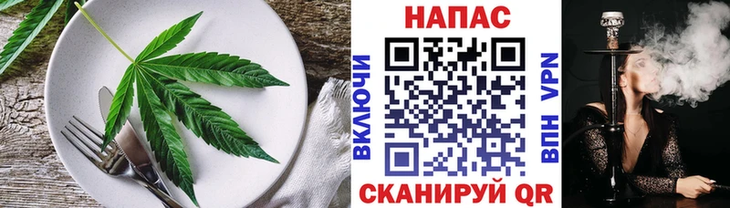 KRAKEN   Пущино  Canna-Cookies марихуана 