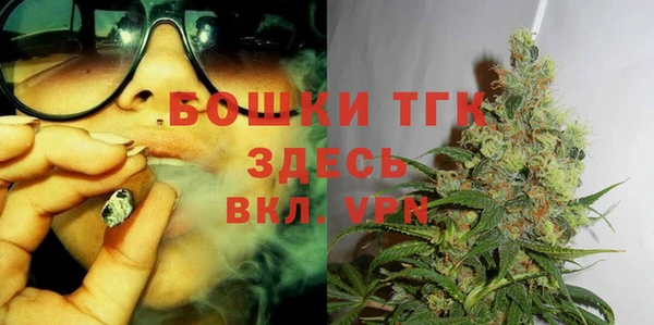 гидра Инсар